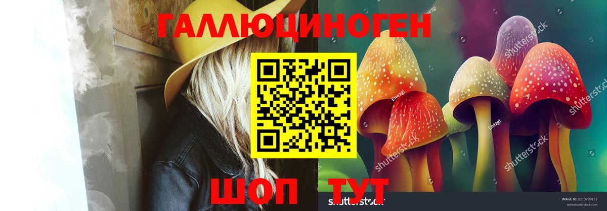 Мценск  Галлюциногенные грибы GOLDEN TEACHER  Псилоцибиновые грибы Psilocybine cubensis  Вход с VPN 